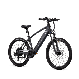 The Flex Electric Bike