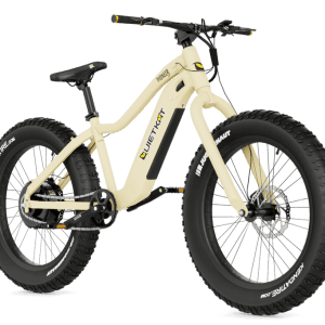 pioneer-electric-bike