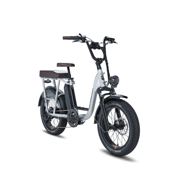 Rad Power Bikes RadRunner Plus Electric Utility Bike - Silver