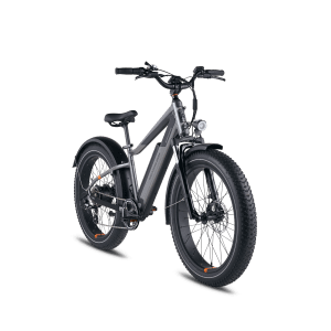RadRover 6 Plus Fat Tire Electric Bike - Charcoal