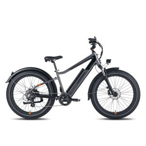 RadRover 6 Plus Step-Thru Fat Tire Electric Bike - Charcoal