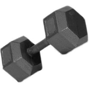 15lb c/i solid dumbbell Troy Barbell 6589-IHD-15-GREY-OS|FITNESS