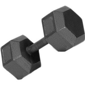 30lb c/i solid dumbbell Troy Barbell 6589-IHD-30-GREY-OS|FITNESS
