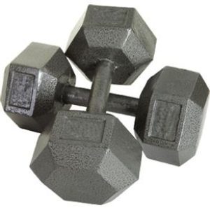 40lb c/i solid dumbbell Troy Barbell 6589-IHD-40-GREY-OS|FITNESS